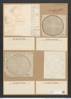 Campylodiscus hibernicus Ehr. (de-Toni-Nr.: Genus 57, Species 2504) Zeichnungen Sammlung Grunow Nr. 5010 (NHMW-BOT-W0373259)